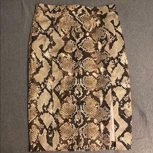 Altuzarra Pencil Skirt